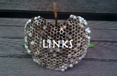 links �����N